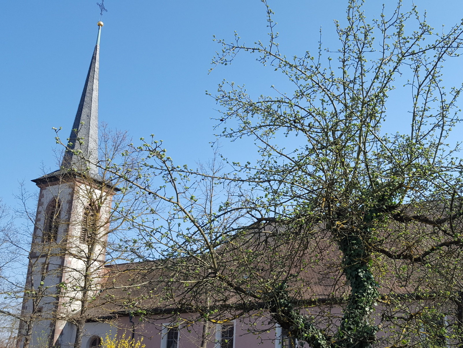 Außenansicht der Pfarrkirche St. Sixtus in Hettstadt Außenansicht der Pfarrkirche St. Sixtus in Hettstadt